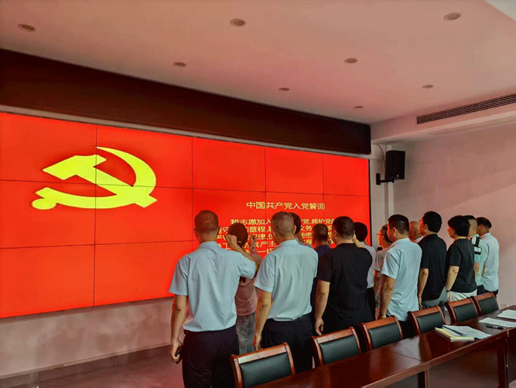 “七一”重温誓词固初心 凤阳大明旅游集团党员强化信仰勇担当